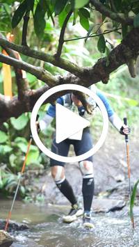 BIB:  <button type="button" onclick="openModal(27801233)" class="btn btn-primary btn-sm float-right" data-toggle="modal" data-target=".modal-high-quality">
                <i class="fa fa-download"></i> Download
                </button>